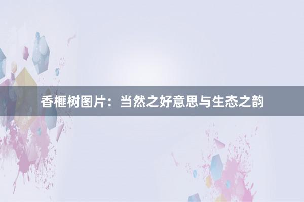 香榧树图片：当然之好意思与生态之韵
